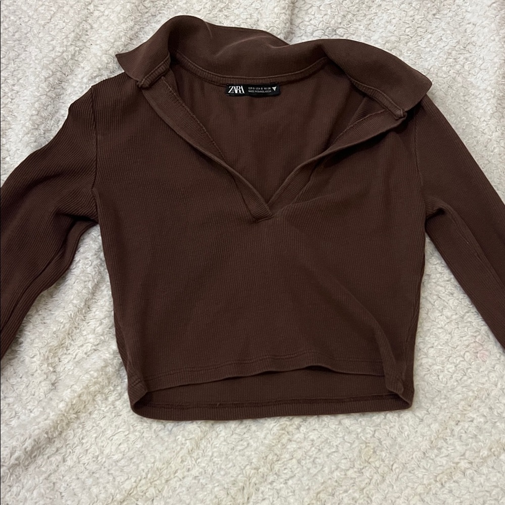 Zara Brown Long Sleeve Crop Top